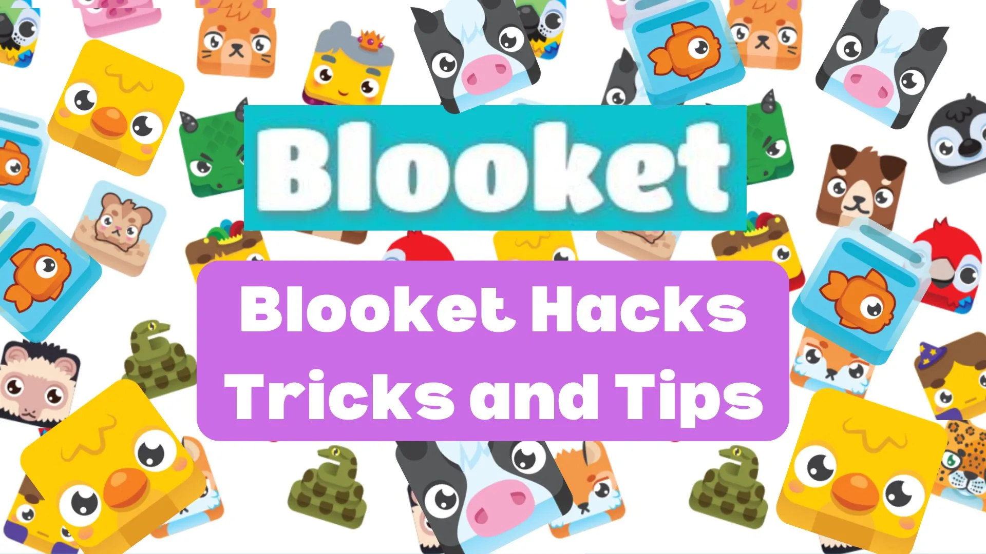 Best Blooket Tips And Tricks February 2025